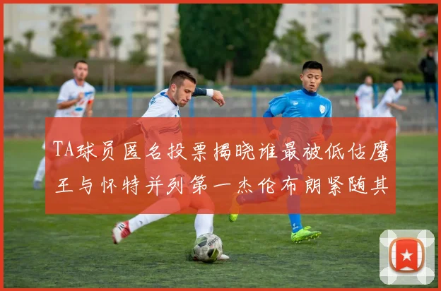 TA球员匿名投票揭晓谁最被低估鹰王与怀特并列第一杰伦布朗紧随其后